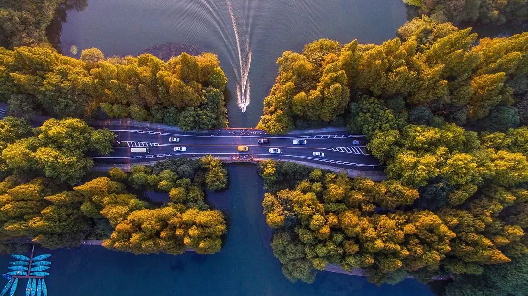 漫天香氛醉人~杭州的秋天从不让人失望!13个地方,秒出大片