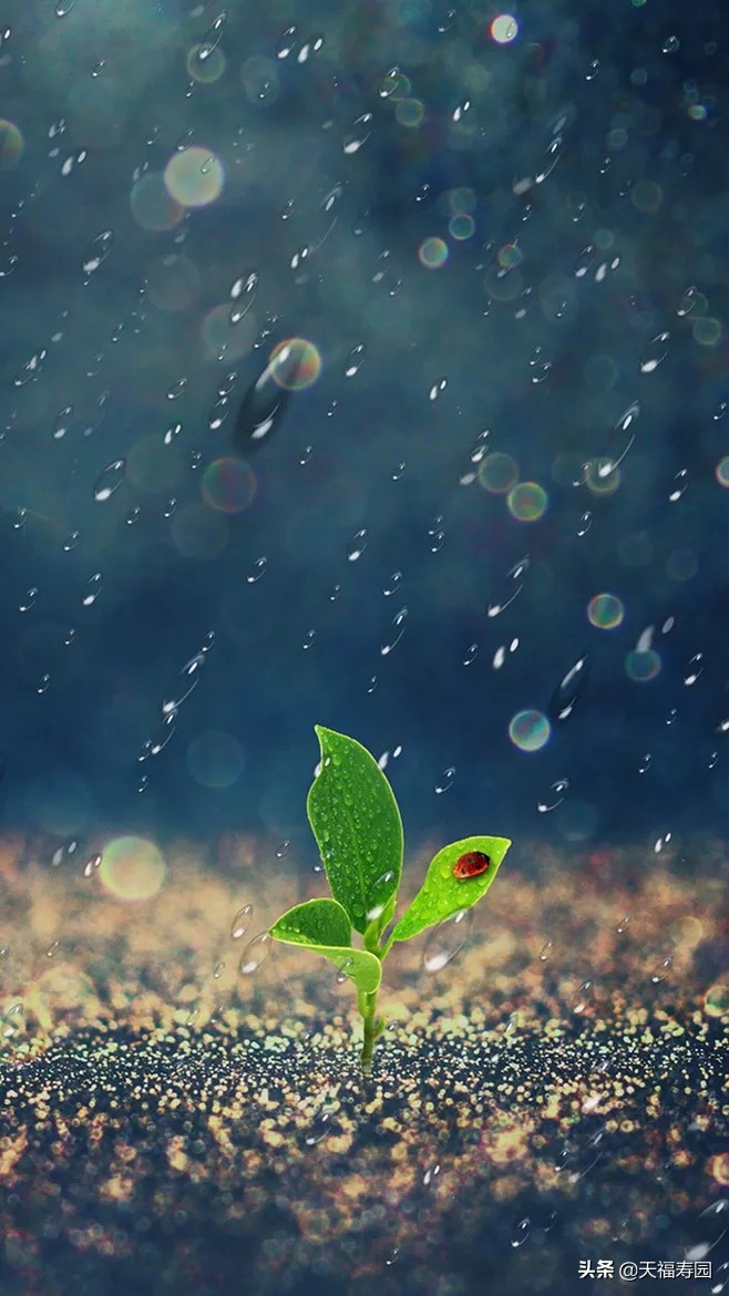 亲人即将病逝我能做些什么,亲人去世后应该做些什么