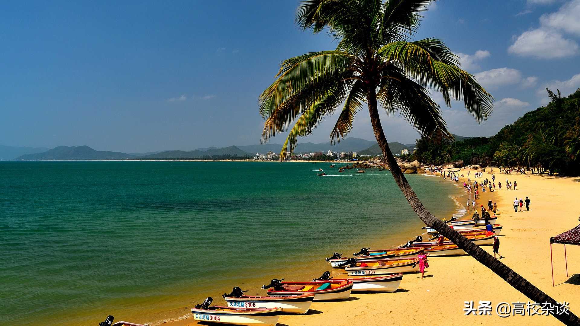 三亚有多少高校,三亚美丽的海滨城市