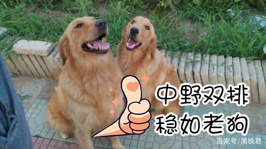 感觉自己很强，想当英雄联盟代练？先进来看看这行水有多深吧！