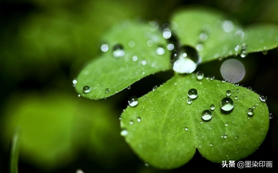 春雨如金，如何拍出春雨的“诗情画意”？5个思路拍好春雨