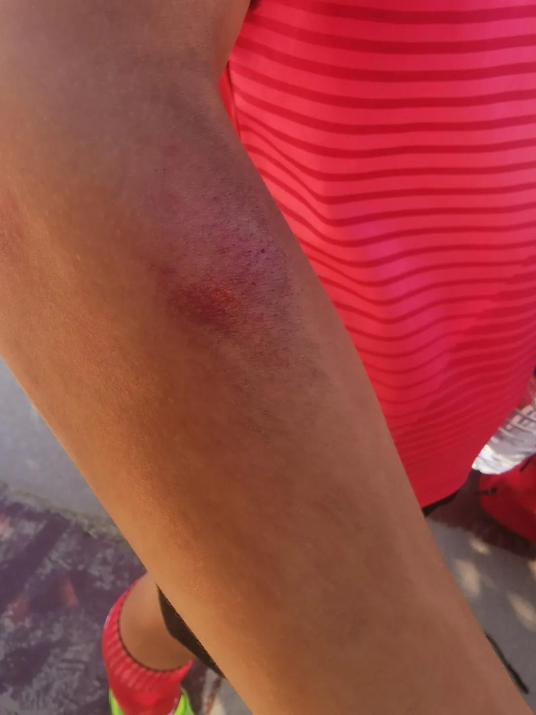 博雅少年奖项说明,博雅少年获得荣誉内容