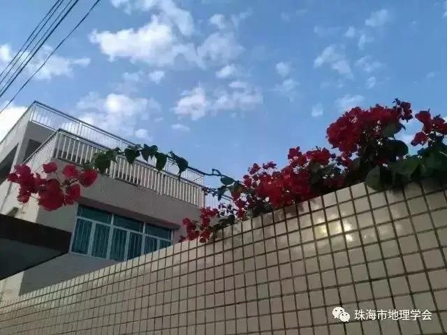 珠海市静美古村落,珠海古村落哪个最好玩