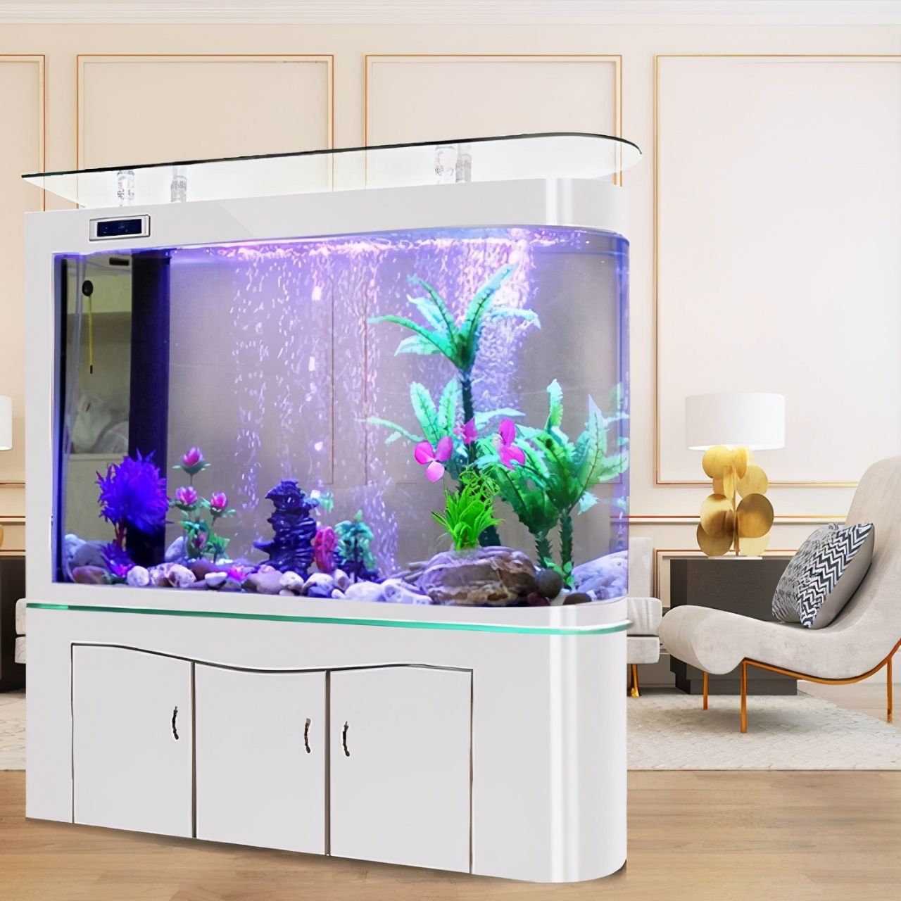 想养鱼但是不想买鱼缸,想养鱼但是不想换水