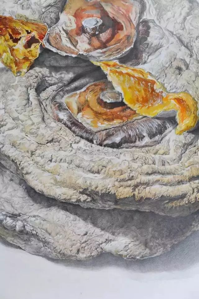 央美精微素描高清图片,央美精微素描多少分