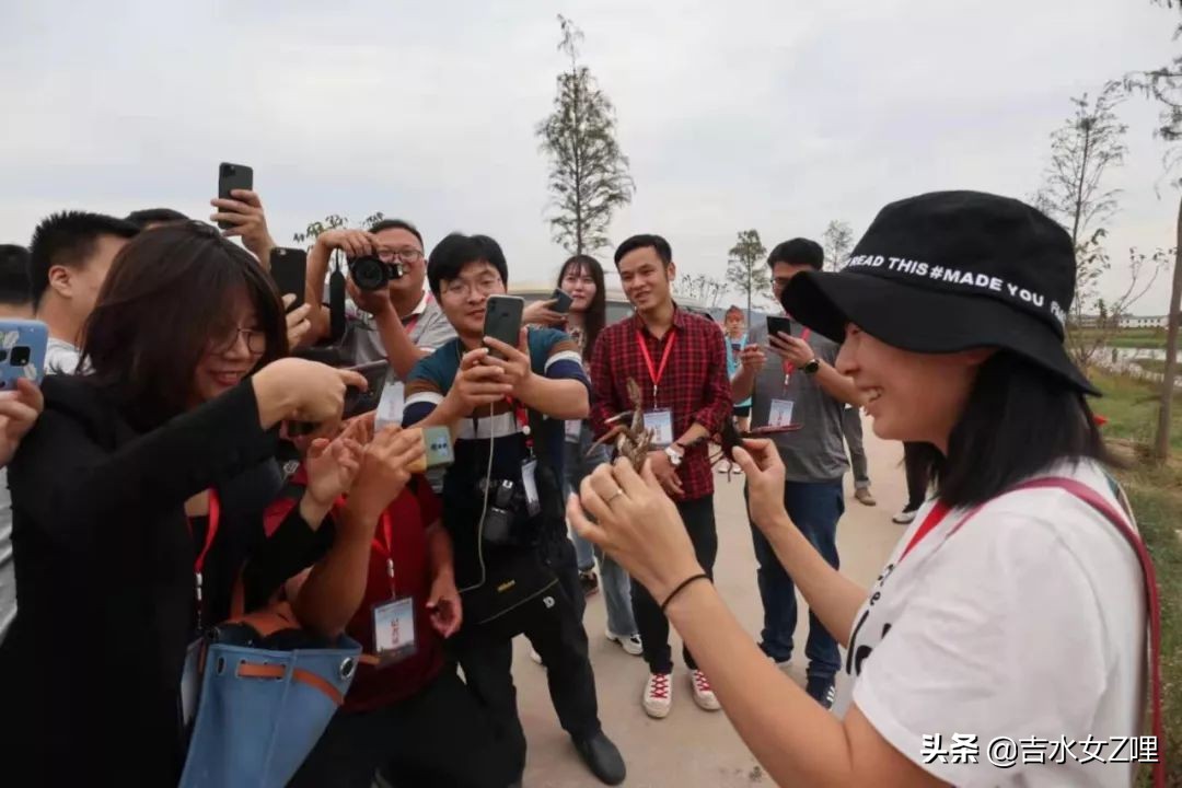 吉水街头采访,吉水县新闻视频