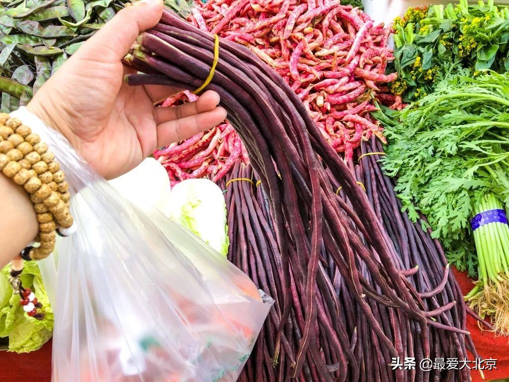 最便宜的早市品种,北方早市有哪些品种