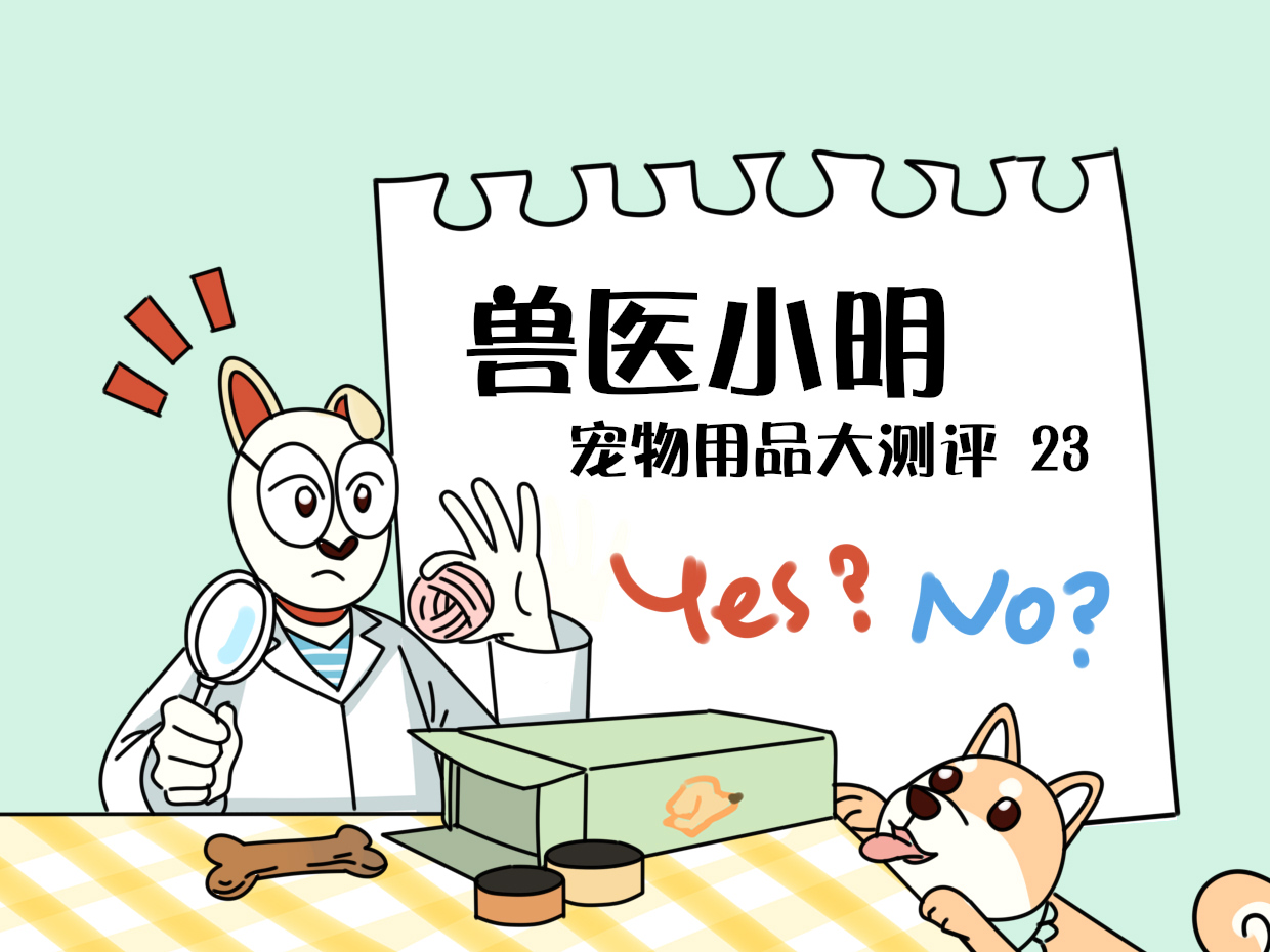 最适合狗狗吃的狗粮真实测评,狗粮吃腻了吃什么