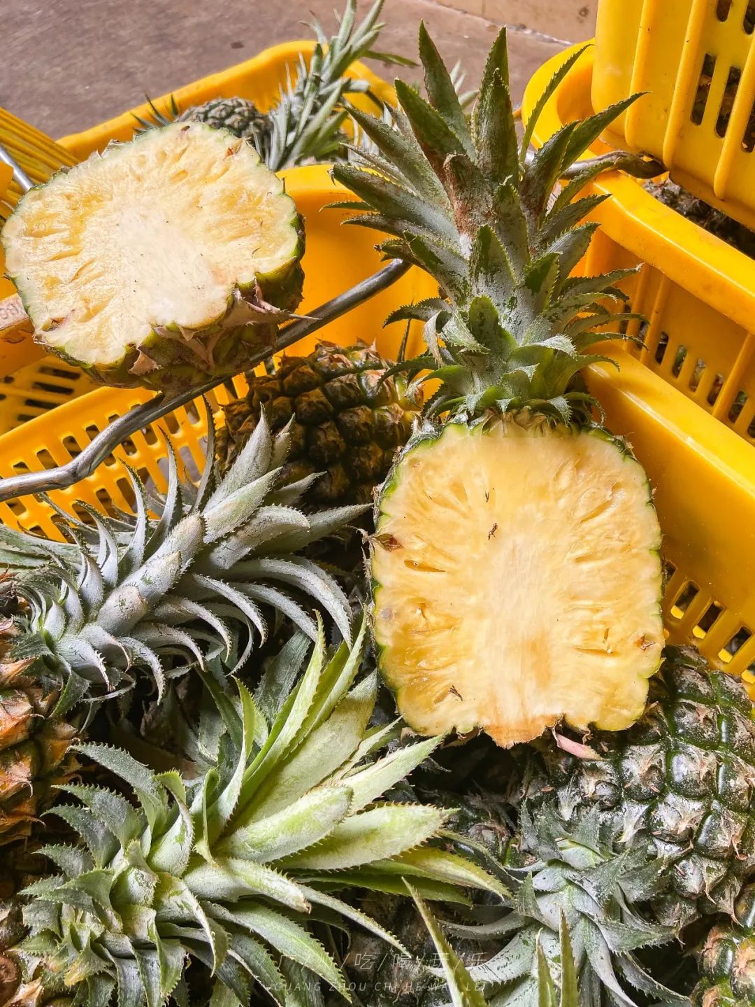 地铁坐到水果市场附近,广州天平架水果市场