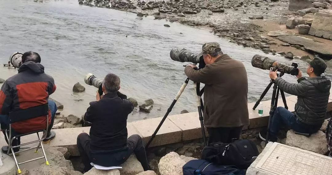 论大龄妇女,大龄未婚女青年和父母难相处