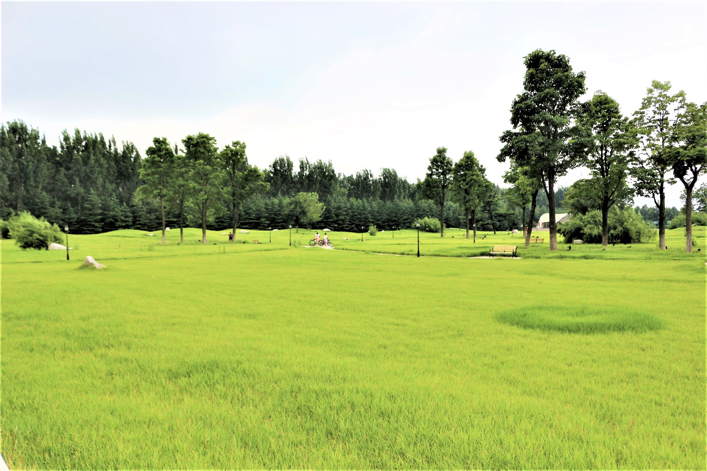 云台自拍杆支架三合一推荐,自拍杆专用相机