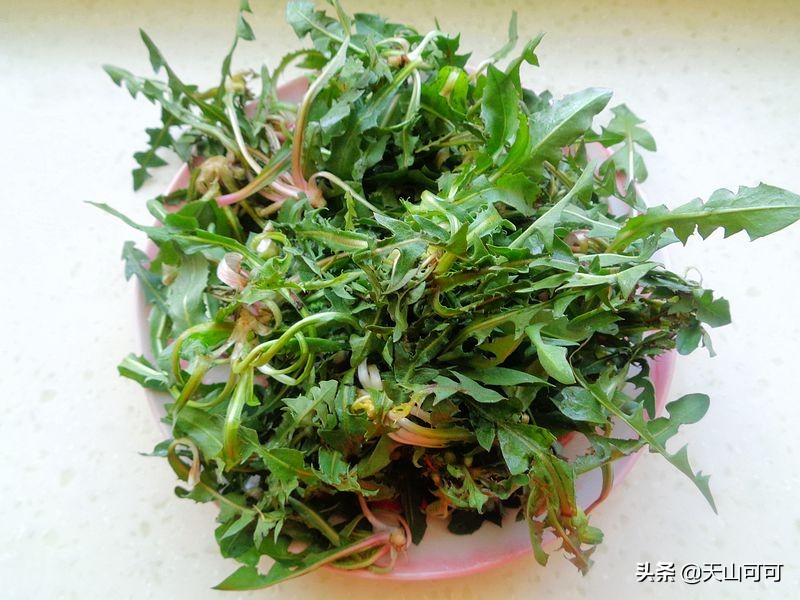 什么野菜吃了利尿降火补肾的,比肉还好吃的10种野菜做法
