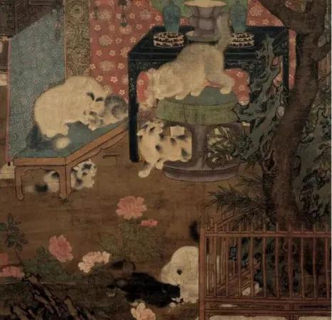 20元土猫,土猫能卖多少钱一只