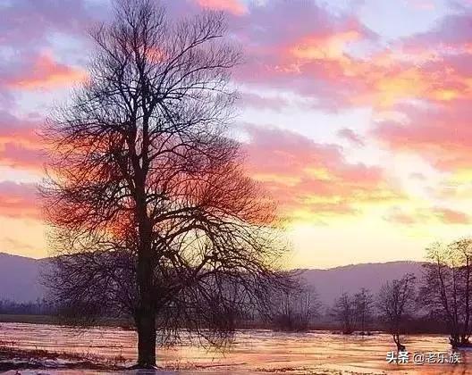 100首才华横溢的经典诗词,公认最有才华的诗