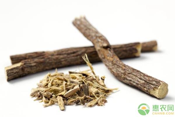 甘草的生长环境与功效,甘草认识与种植