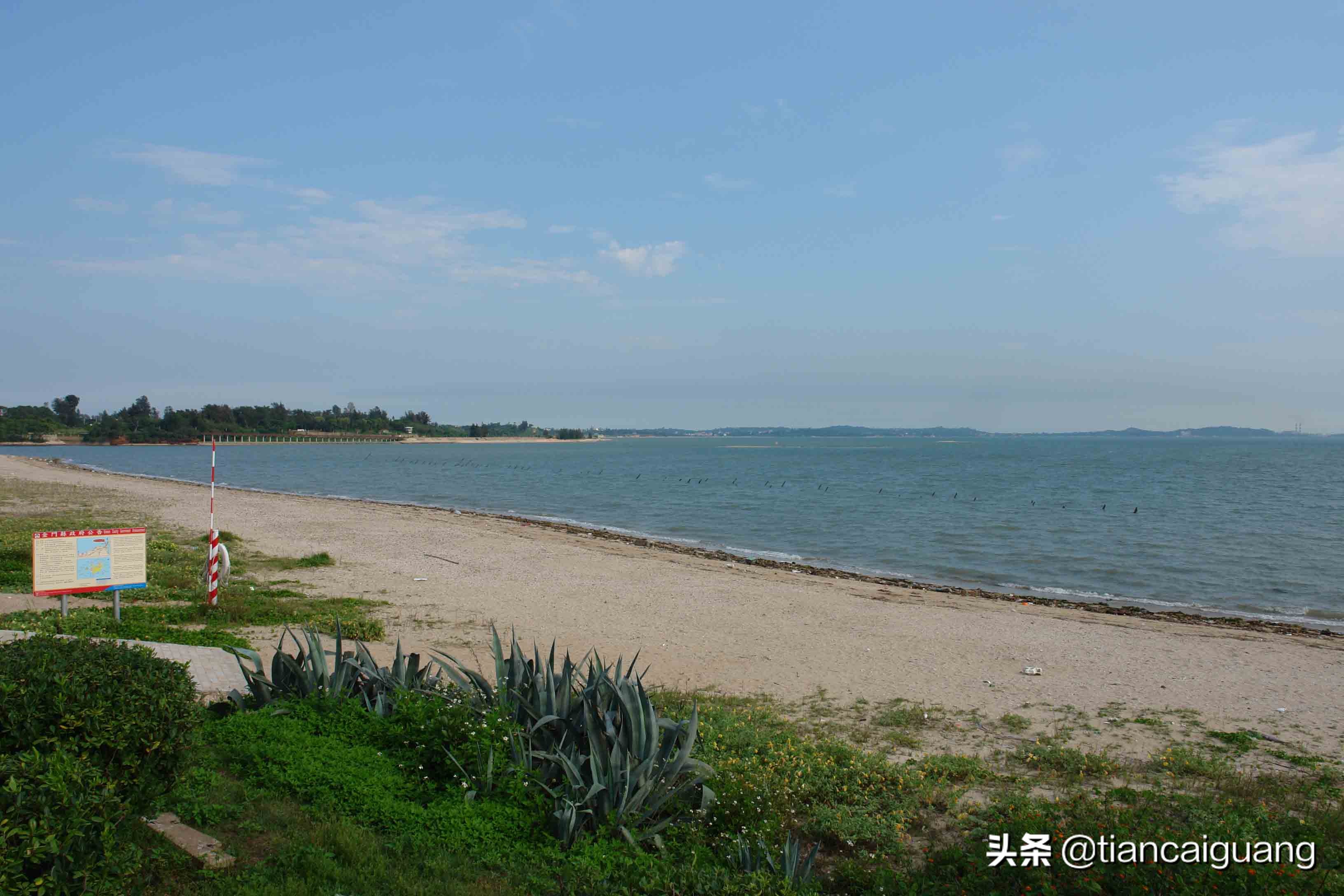 金门自由行恢复小三通,金门自由行需要办什么手续