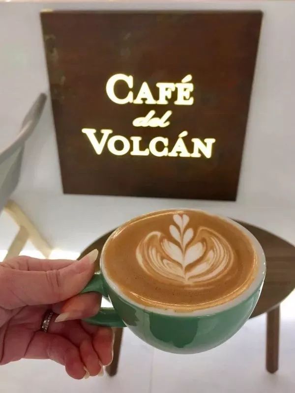 优惠活动vip套餐,河马生活节门票2019