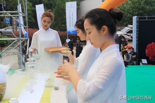 真正的庐山云雾茶,十大庐山云雾茶