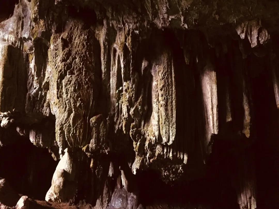 羊安杨梅节直播,羊安杨梅采摘