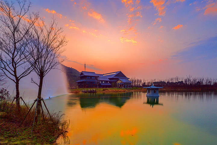 灵山小镇拈花湾樱花,无锡拈花湾樱花开