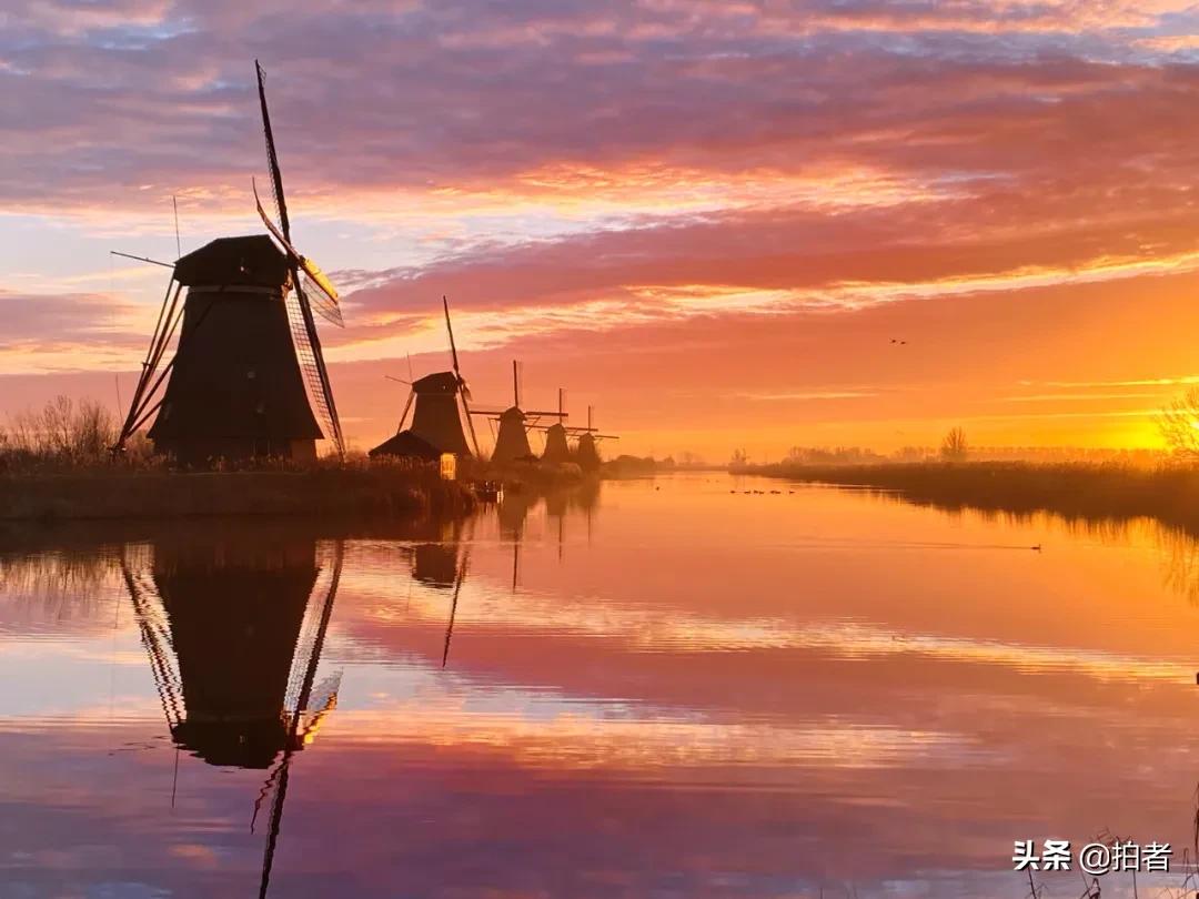 手机摄影天花板机型,手机摄影爱生活