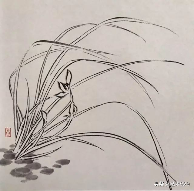 国画兰花的画法太棒了简单易学,泰国兰花绘画技法