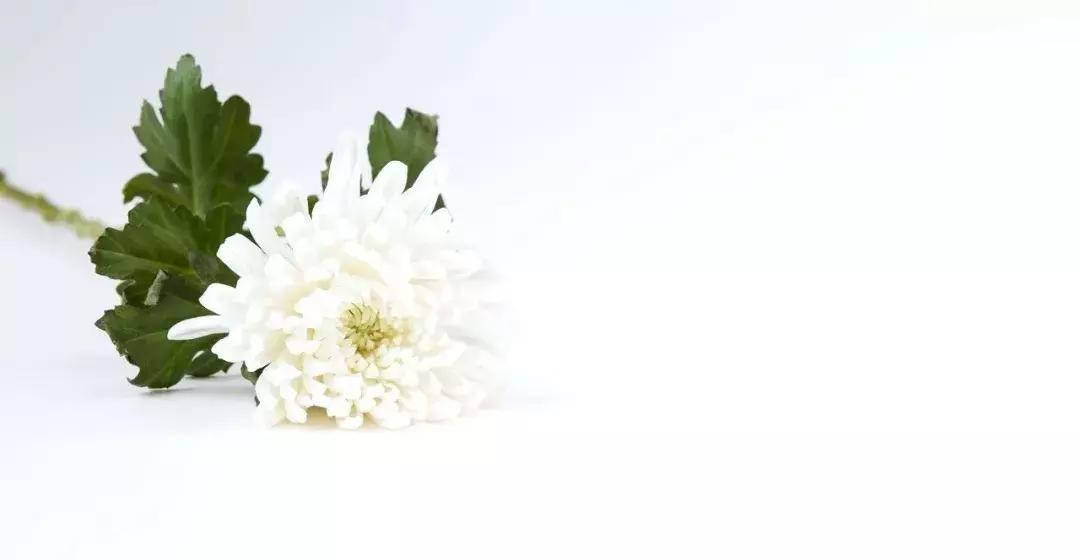 缅怀英烈崇尚英雄,以法治维护英烈权益捍卫英烈荣光