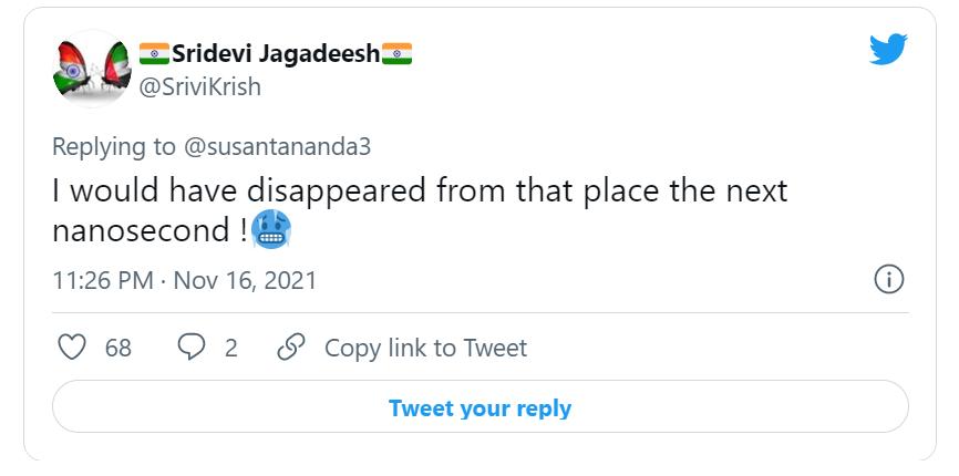 为什么抓到眼镜王蛇要放生,最大眼镜王蛇放生