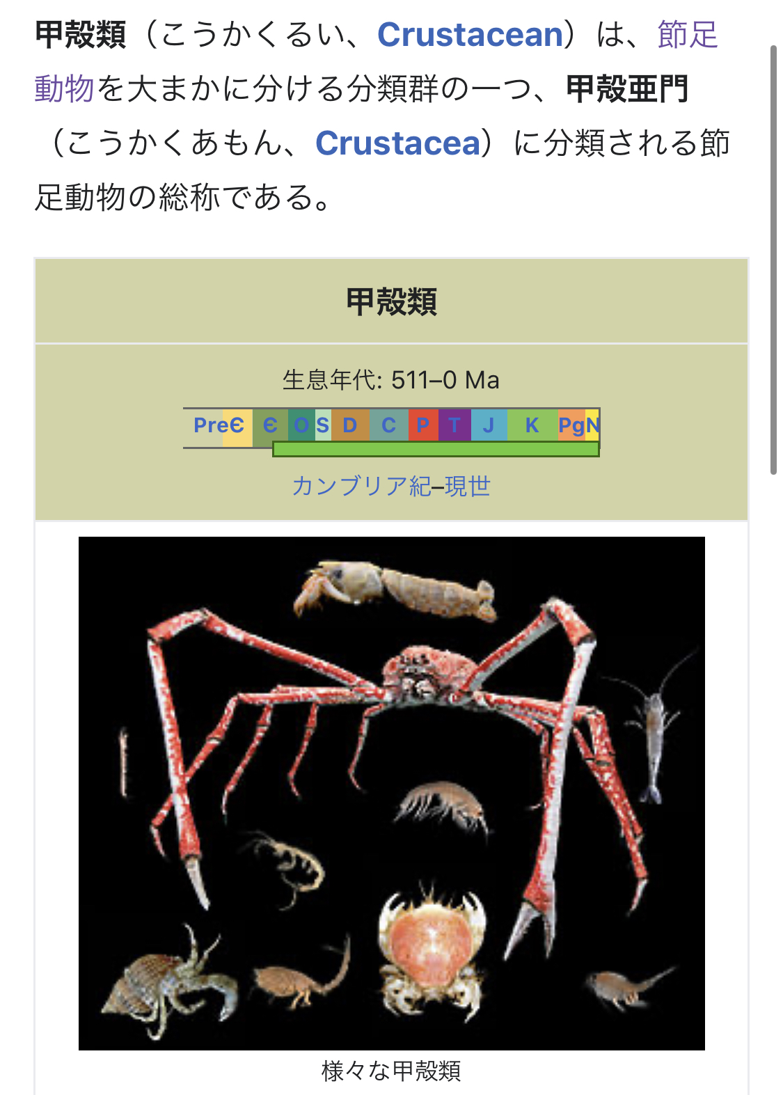 山治血统因子觉醒多少级,文斯莫克山治血统因子觉醒