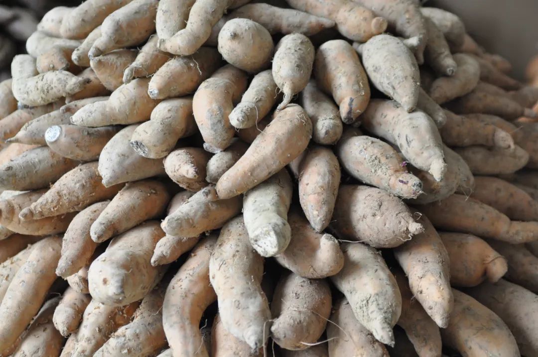 建水古城美食在哪,建水古城美食米线