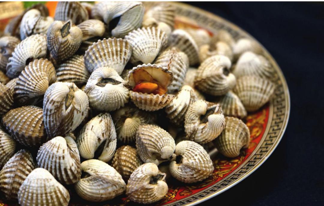 蛤蜊、蛏子、毛蚶、蚬子，那些好吃的小贝壳，今天一次搞清楚