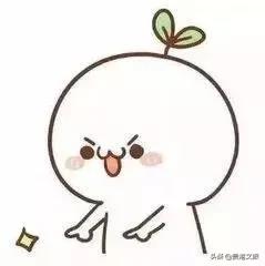 2020年度全国旅游年票发售开启,新年景点年票