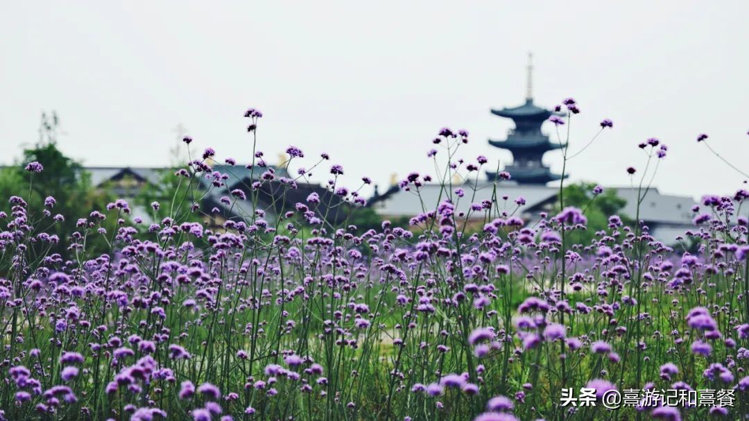 无锡拈花湾投资多少钱,拈花湾投资了多少钱