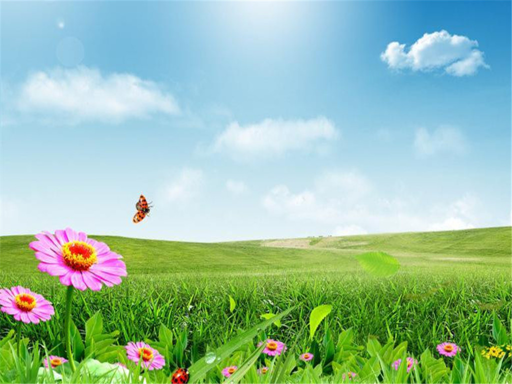 最美的护眼桌面壁纸,超清晰2340x1080曲面屏护眼壁纸