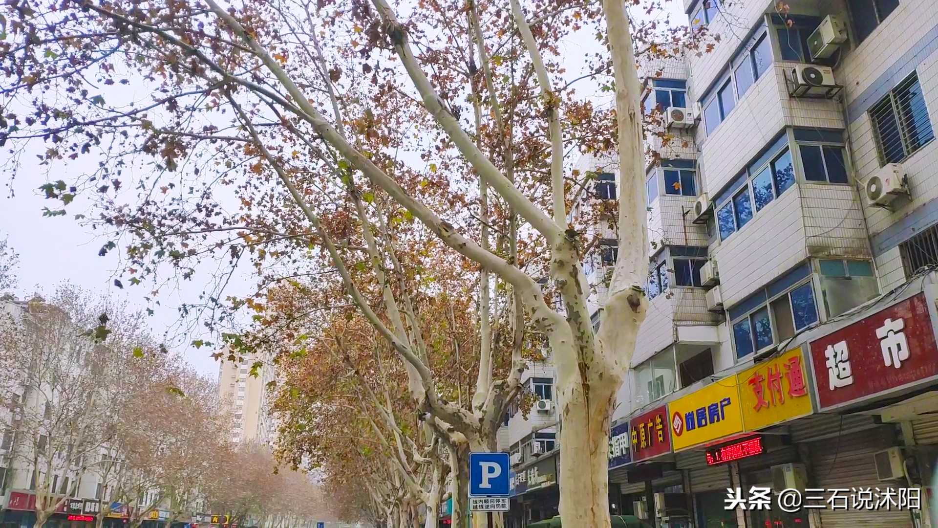 沭阳城市发展图片,沭阳南京路变化