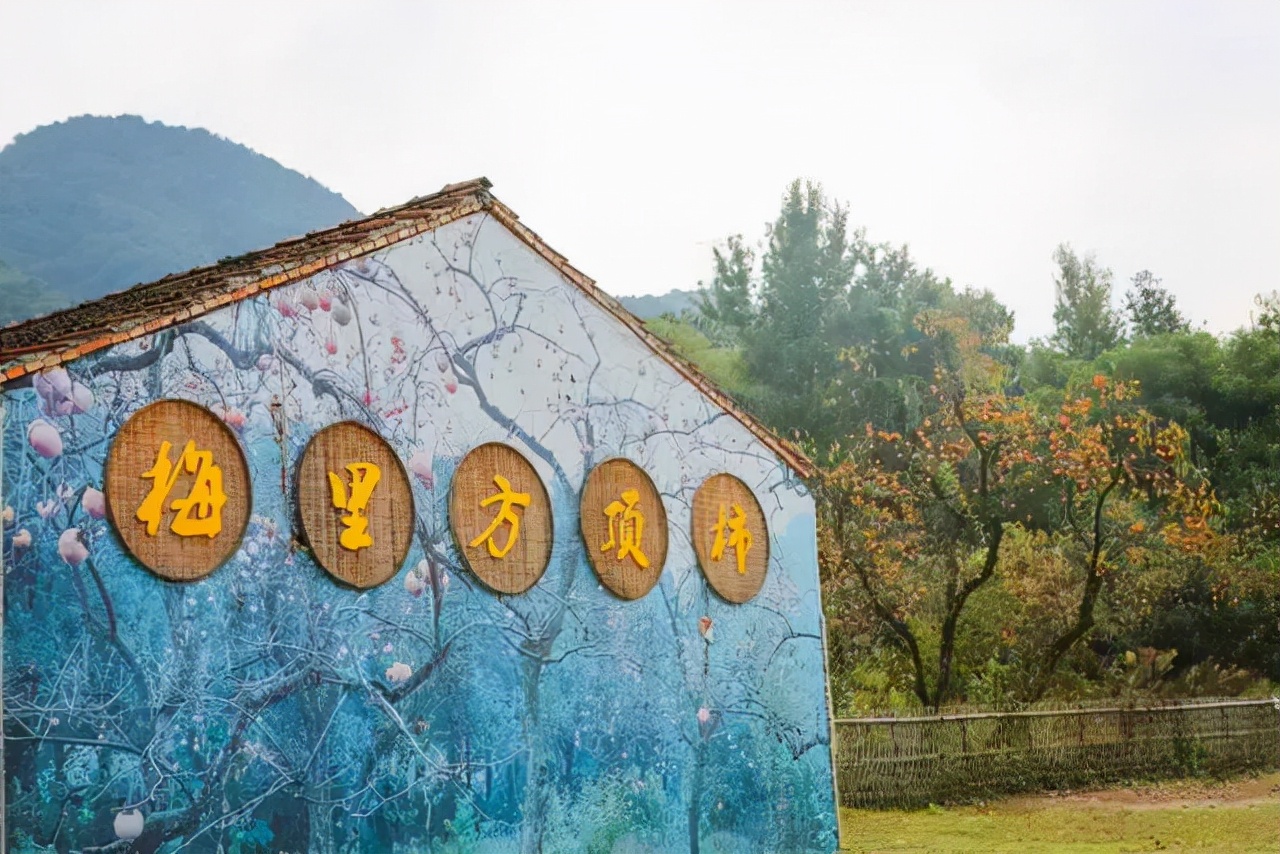 漫天香氛醉人~杭州的秋天从不让人失望!13个地方,秒出大片