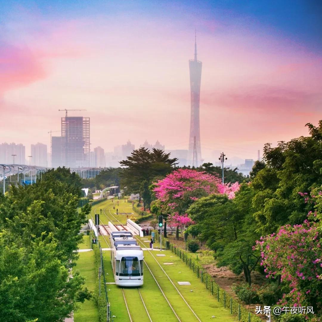 什么是麻精药品定义,什么是桃子女孩