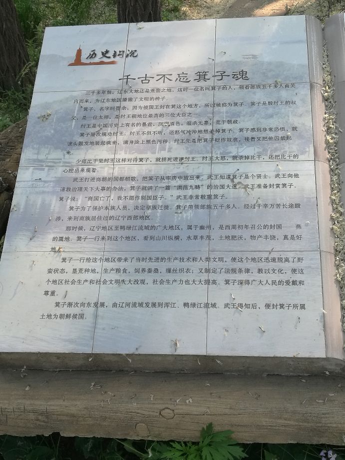 漫山花如雪，风吹暗香来