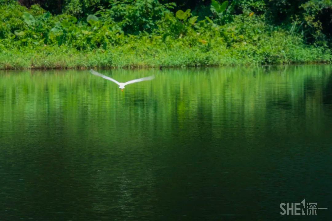 深圳二号线沿线有哪些景点游玩,深圳9号线沿途好玩的地方推荐
