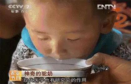 国产骆驼奶乳糖不耐受的人能喝吗,驼奶乳糖不耐受的人群能喝吗
