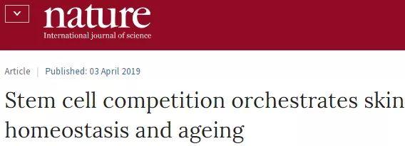 胶原蛋白真的有抗衰老效果吗,胶原蛋白真的能抗衰老吗