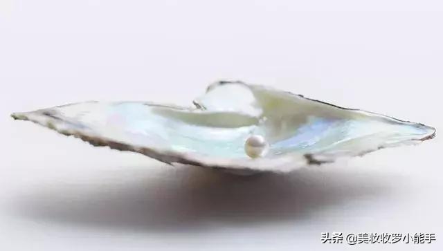 mikimoto御木本珍珠养肤晚安粉 (御木本mikimotowonderland)