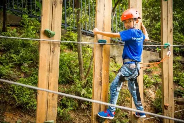 丛林探险乐园门票团购抖音,可拉熊丛林探险营地抖音团购