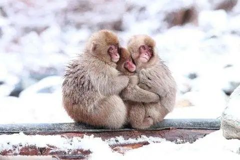 疫情过后我们在一起吗,疫情过后我们会再相见吗