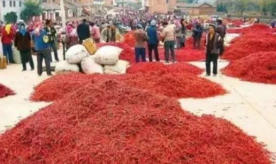 老干妈陶华碧折扣,陶华碧老干妈代言