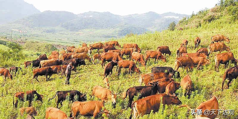 走遍中国湖北郧县,走遍竹山