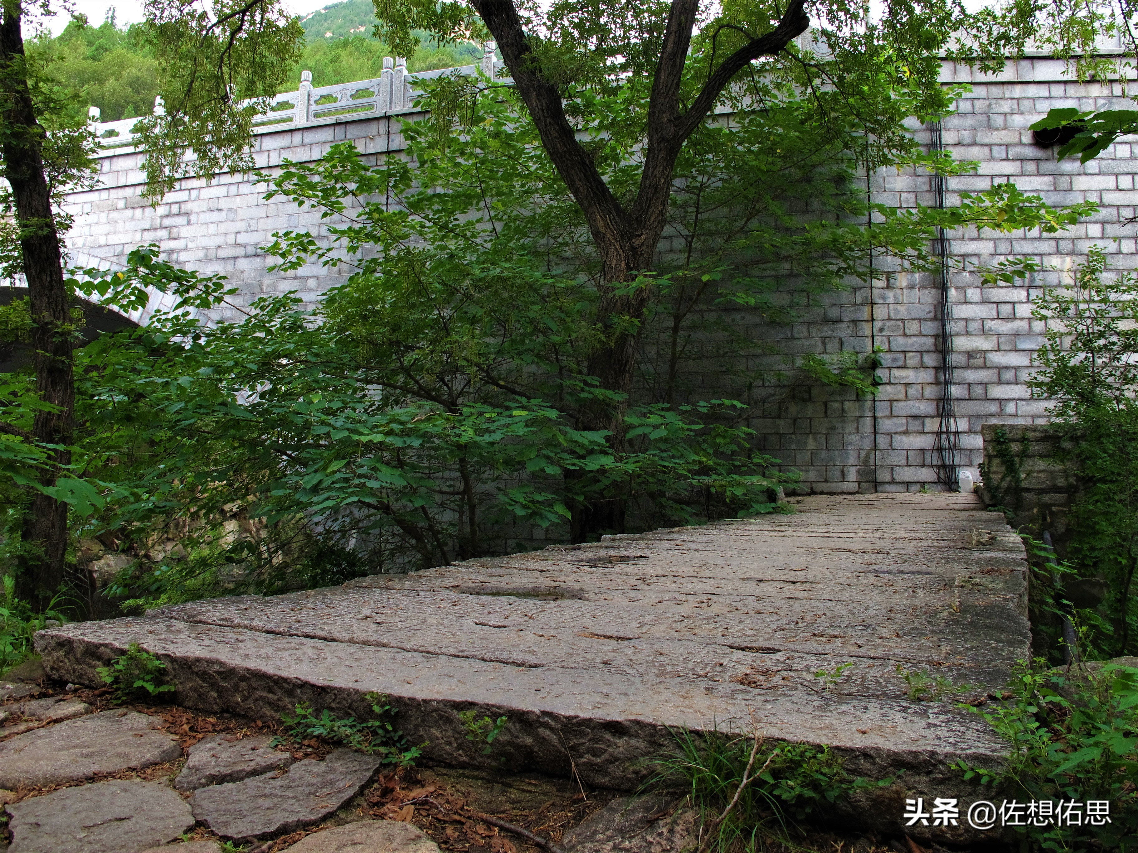 扇子崖优惠,泰安扇子崖免门票吗