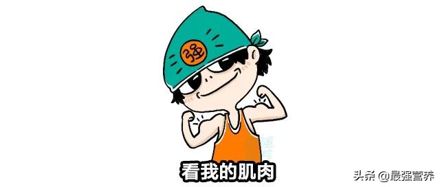 真的有人怎么吃都胖吗,一个瘦子教你如何健康增肥