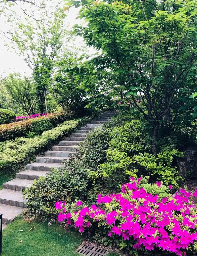 有时候使人疲惫的不是远方的高山,让人疲惫的不是远山而是鞋里的沙