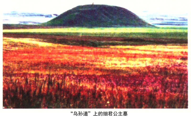 公主和亲到乌孙,公主嫁给乌孙王